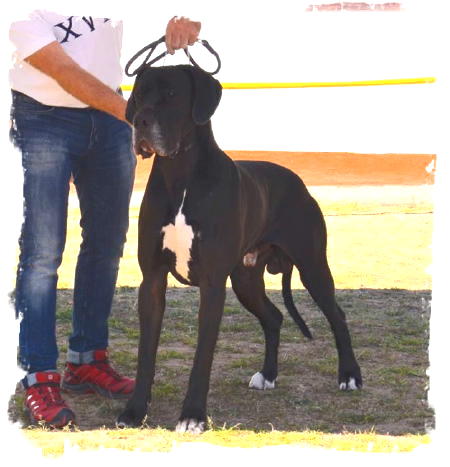 Athos la isla Bonita (3)