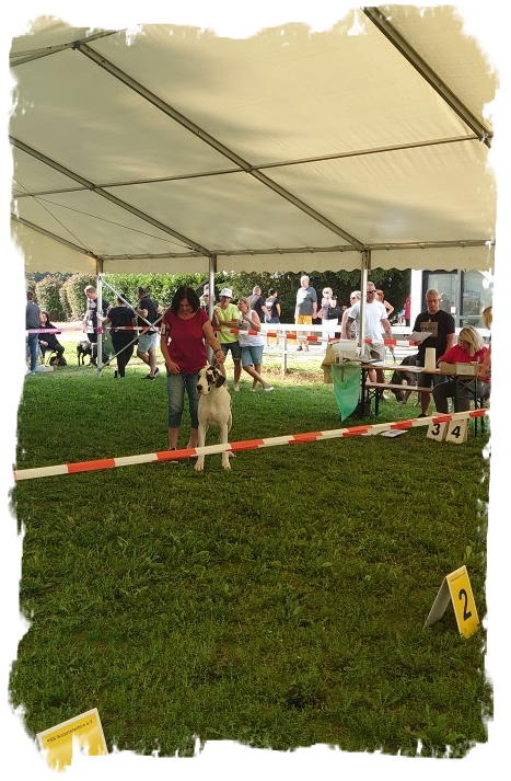 CACIB 2023 Ludwigshafen1 (2)