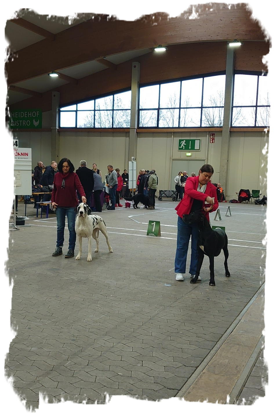 CACIB 2024 Kassel Son.5 (2)