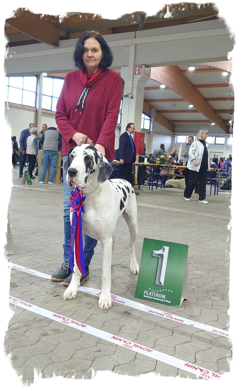 CACIB 2024 Kassel Son. (2)