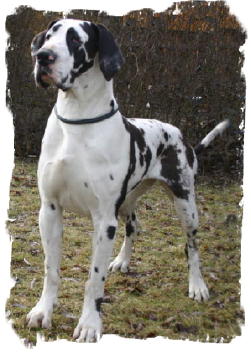 Conny1Jahr34__2_