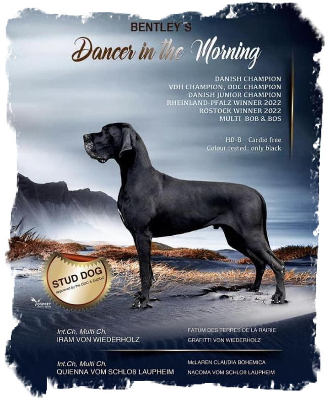 Dancer in the Morning (2)