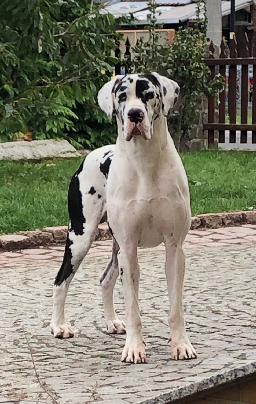 WhatsApp Image 2021-02-02 at 20.28.48 (1)