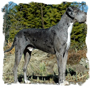 Foto 5 (2)