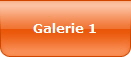 Galerie 1