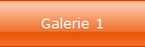 Galerie 1