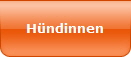 H�ndinnen