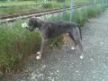 Haakon_You_Tube