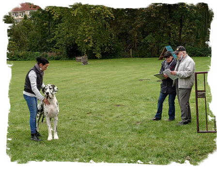 DSC_0299 (2)1