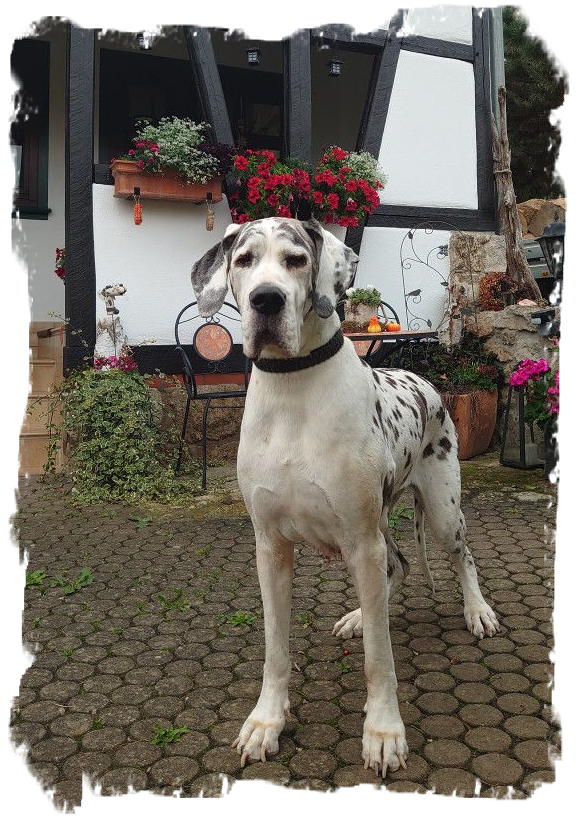 Kyrlie Sue 11 Jahre (2)