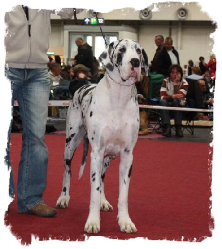 1012_IMG_4547_copy (5)