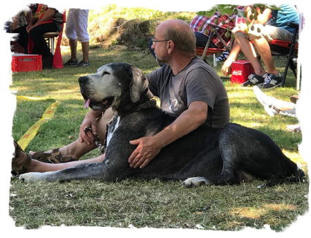 IMG-20180716-WA0001 (3)