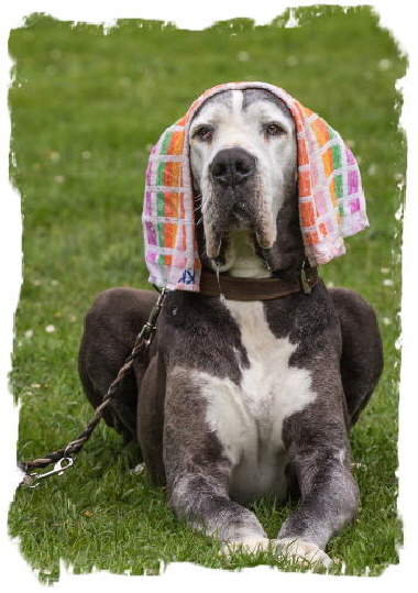 IMG_7373_CC-BY-SA-40 (2)