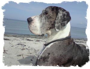 Ostsee_Kopf__2_