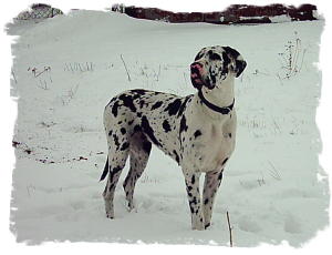 PIC_0032__3_