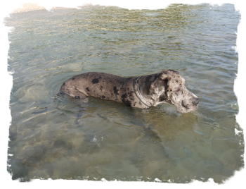 September 2015 Kroatien 078 (2)