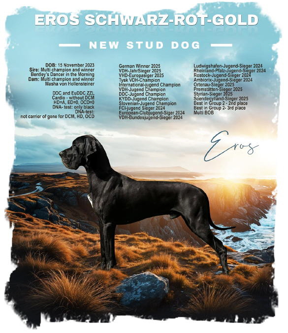 532259443_24872373235679959_4470990574296656438_n (3)