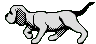 Anipuppy
