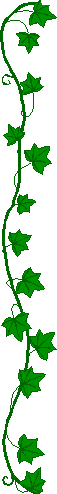 a_linie-44