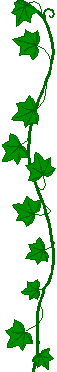a_linie-44_1