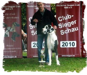 georgiaclubsiegerschau2010_520__2_